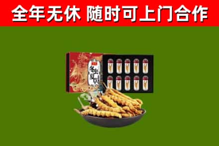 榆林回收冬虫夏草价格